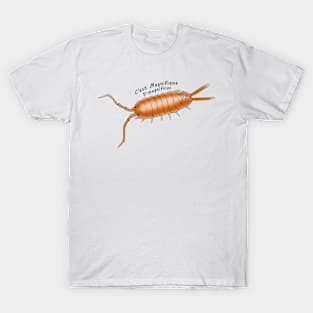 P.magnificus Ce'st Magnifique T-Shirt